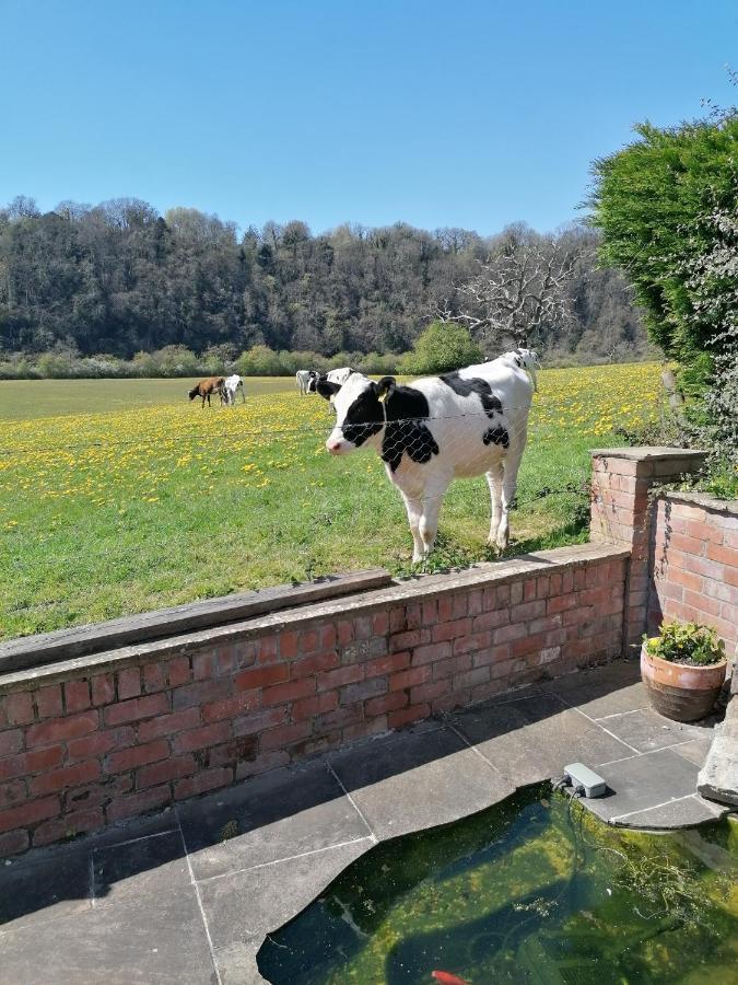 Riverside Lägenhet Chepstow Exteriör bild